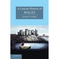 A Concise History of Wales - Paperback