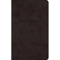 ESV Premium Church Bible (Trutone, Black) - Imitation Leather