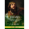 David: Shepherd, Psalmist, King - A Biblical Biography - Paperback