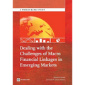 Dealing with the Challenges of Macro Financial Linkages in Emerging Markets - Paperback