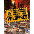 Wildfires - Paperback