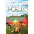 The Adventures of Merlin the Pit Bull Wizard - Paperback