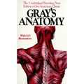 Gray's Anatomy - Paperback