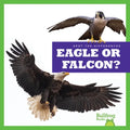 Eagle or Falcon? - Library Binding
