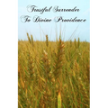 Trustful Surrender To Divine Providence - Paperback