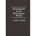 Privatization in the Developing World - Hardcover