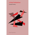 A Brief Inhalation - Paperback