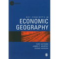 Key Concepts in Economic Geography - Paperback