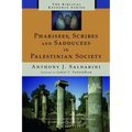 Pharisees, Scribes and Sadducees in Palestinian Society - Paperback