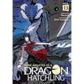 Reincarnated as a Dragon Hatchling (Light Novel) Vol. 13 - Paperback