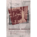 Brownsville, Brooklyn: Blacks, Jews, and the Changing Face of the Ghetto - Paperback