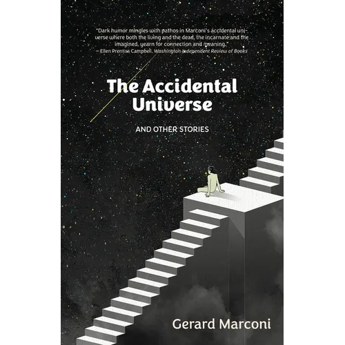 The Accidental Universe and Other Stories - Paperback