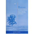 The Spiritual Wisdom of Gospels for Christian Preachers and Teachers: The Relentless Widow Year C Volume 3 - Paperback