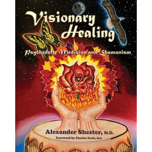VISIONARY HEALING Psychedelic Medicine and Shamanism - Paperback