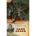 The Forgotten Heroes & Villains of Sand Creek - Hardcover