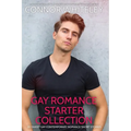 Gay Romance Starter Collection: 20 Sweet Gay Contemporary Romance Short Stories - Paperback