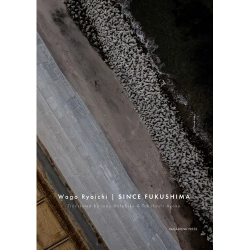 Since Fukushima - Paperback