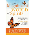 The Magnificent World of Spirits: Eyewitness Accounts of Where We Go When We Die - Paperback