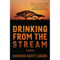 Drinking from the Stream - Paperback