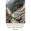 Agro Forestrium Best Plants & Trees To Prevent Catastrophic Landslides Plus Strengthen Soil Structure - Paperback