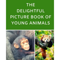 The Delightful Picture Book Of Young Animals: A Reading Gift Book for Alzheimer Or Dementia Patients Parents Grandparents: Senior Citizens Day - Paperback