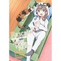 Rascal Does Not Dream of a Sister Home Alone (Manga): Volume 4 - Paperback
