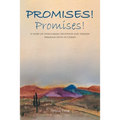 Promises! Promises!: A story of overcoming deception and tragedy through faith in Christ. - Paperback