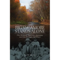 Big Sycamore Stands Alone: The Western Apaches, Aravaipa, and the Struggle for Place Volume 1 - Paperback