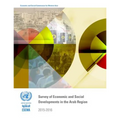 Survey of Economic and Social Developments in the Arab Region 2015-2016 - Paperback