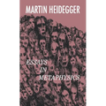 Essays in Metaphysics - Paperback