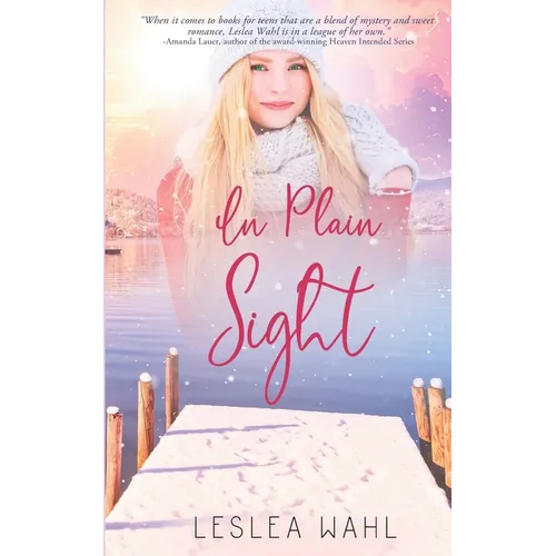 In Plain Sight - Paperback