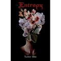 Entropy - Paperback