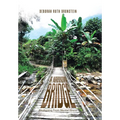 A Narrow Bridge: Awakening From Mental Illness - Hardcover