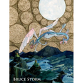 Bruce Storm - Paperback