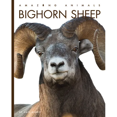 Bighorn Sheep - Library Binding