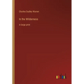 In the Wilderness: in large print - Paperback