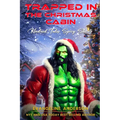 Trapped in the Christmas Cabin - Paperback