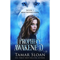 Prophecy Awakened: Prime Prophecy Series Book 1 - Paperback