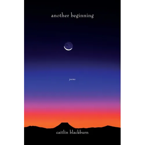 another beginning - Paperback
