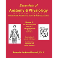 Essentials of Anatomy and Physiology - A Review Guide - Module 2: For Therapists, Yoga Teachers, Holistic Healers & Wellbeing Coaches - Paperback