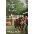 A Mystery In Canyon - Paperback