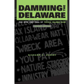 Damming the Delaware: The Rise and Fall of Tocks Island Dam - Paperback