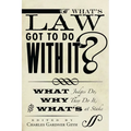 What's Law Got to Do with It?: What Judges Do, Why They Do It, and What's at Stake - Paperback