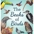 The Beaks of Birds - Paperback