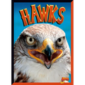 Hawks - Paperback