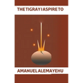 The Tigray I Aspire to - Paperback