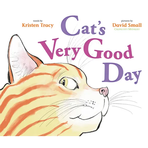 Cat's Very Good Day - Hardcover