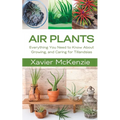 Air Plants: Everything You Need to Know About Growing, and Caring for Tillandsias - Paperback