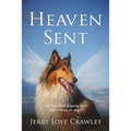Heaven Sent: A True Story of Losing Hope and Finding an Angel - Paperback