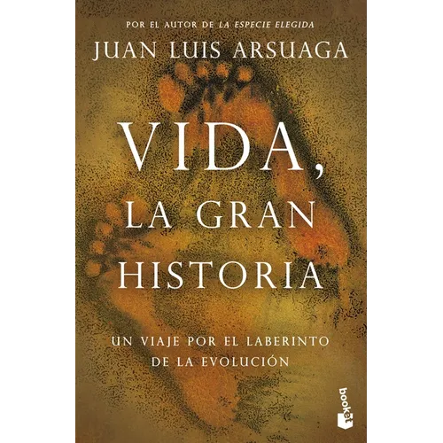 Vida, La Gran Historia - Paperback